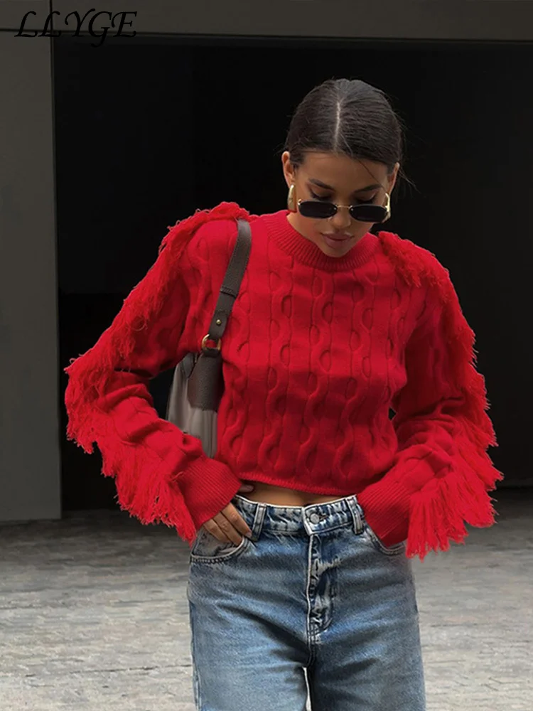 Street Knit Tassel Short Pullover Women Solid O Neck Long Sleeve Female Sweaters 2024 Autumn Lady Fashion All-match Knitwear