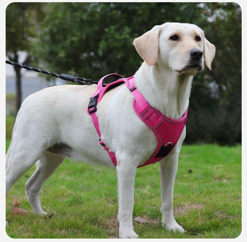 Kein ziehendes Hundegeschirr mit AirTag-Halter, Griff und vorderem Clip – verstellbare, reflektierende, weich gepolsterte Hundegeschirrweste zum Spazierengehen, Tra – Detail 15