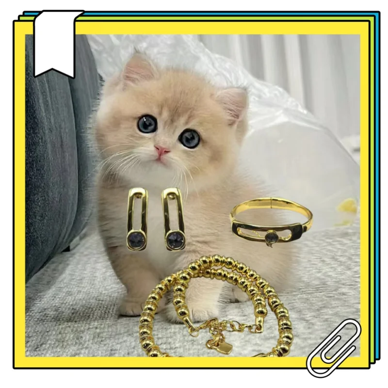 

New bead plated gold necklace bracelet, black crystal earrings, romantic jewelry, cat accessories gift