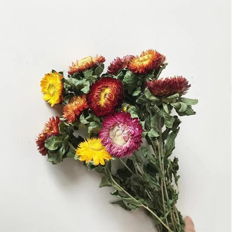 

Small Chrysanthemum Really Natural Dried Flowers 10 Head And 10g Love Grass Colorful Bouquet For Home Table Wedding Decor