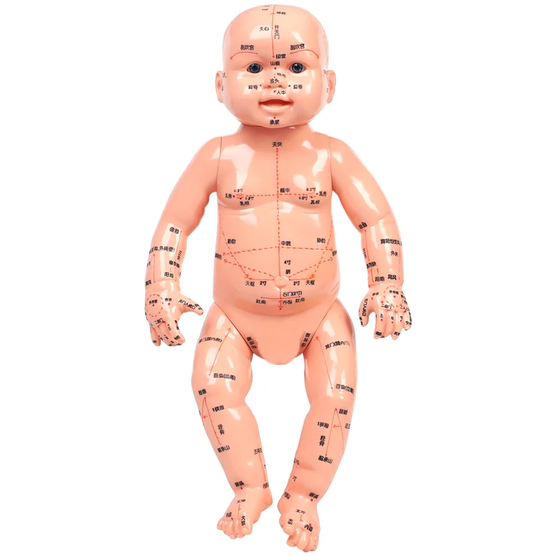 Baby Body Model acupuncture and moxibustion General Acupoint of Traditional Chinese Medicine Child Massage Simulation Model