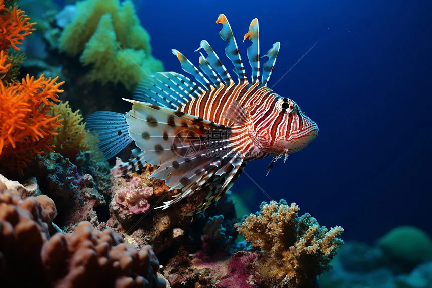 

Металлический передний и задний мостовой приводной вал для радиоуправляемого краулера 1/10 Trxs TRX-4, аксессуары для самостоятельной сборки радиоуправляемых моделей