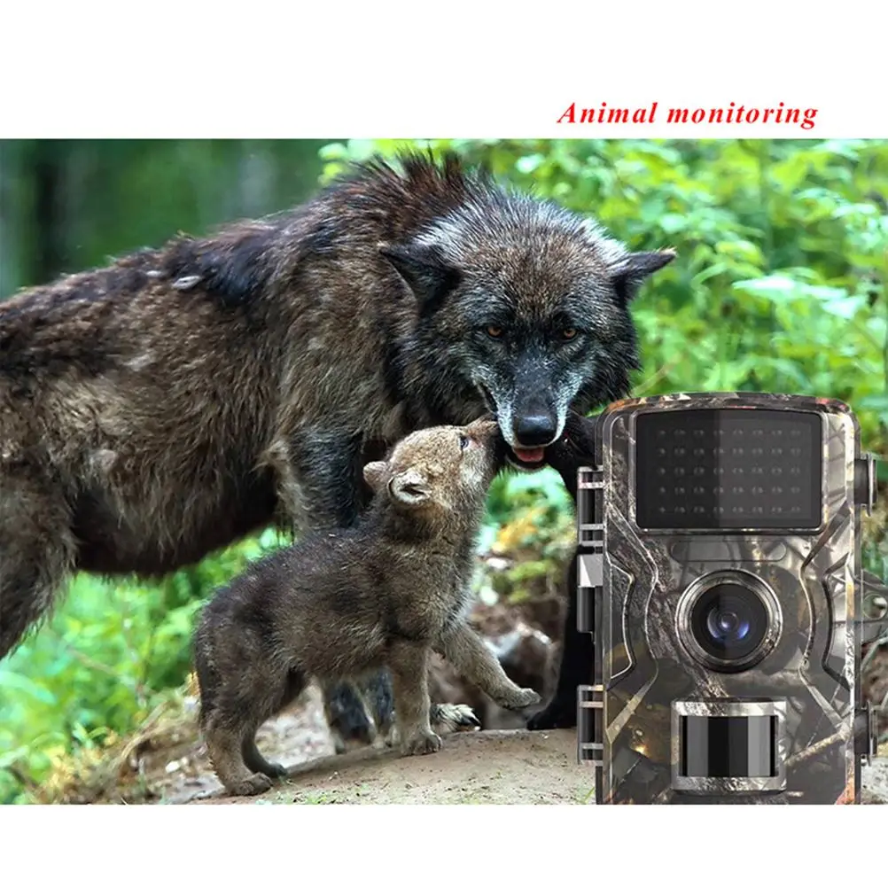 

Hunting Night Vision Waterproof Outdoor Camcorder Motion Photos Video