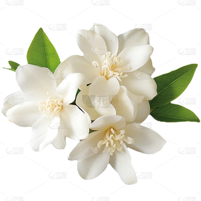 

Y5Z3A1B9C7D5E3F1G9H7I5J3K1L9M7N5O3P1Q9R7S5T3U1V9W7X5Y3Z1A9B7C5D3E1F9G7H5I3J1K9L7M5N3O1P9Q7R5S3T1