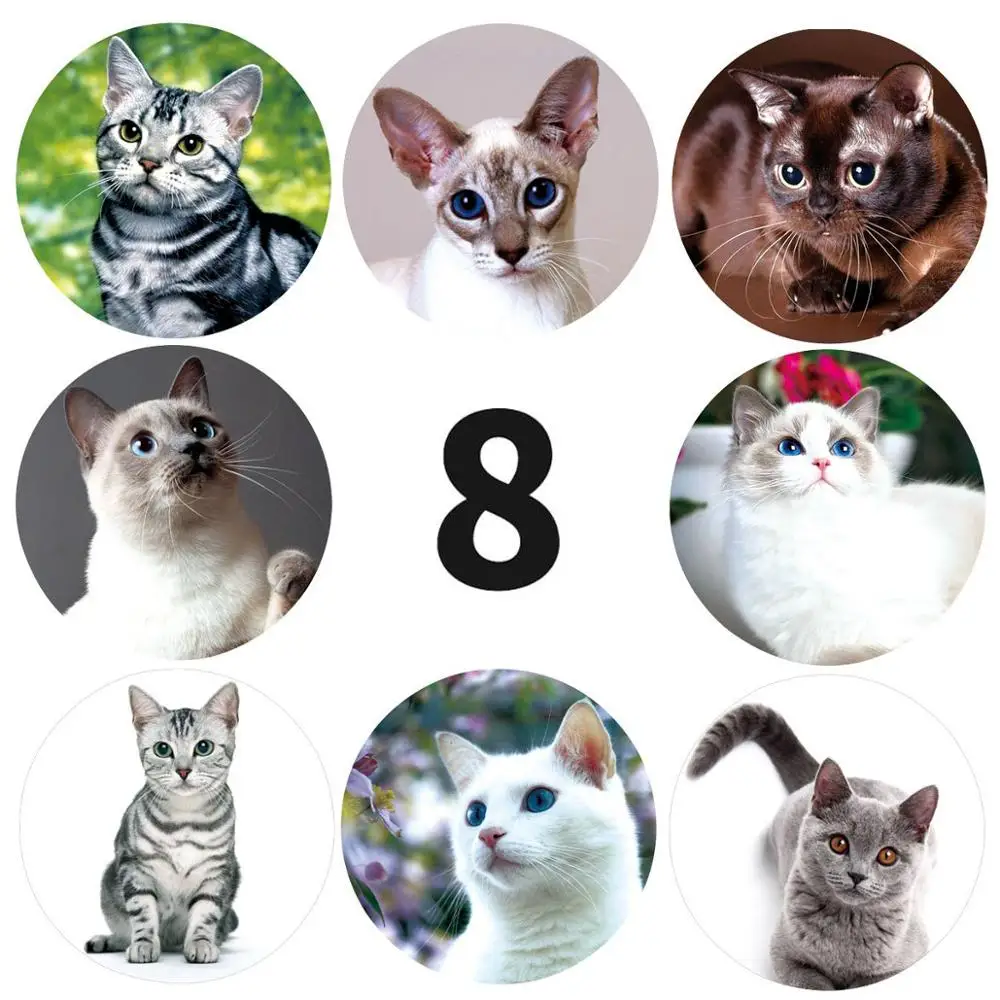 

50pcs creative animals Cat stickers 1inch labels reward sticker for school teacher kids Smile stationery sticker