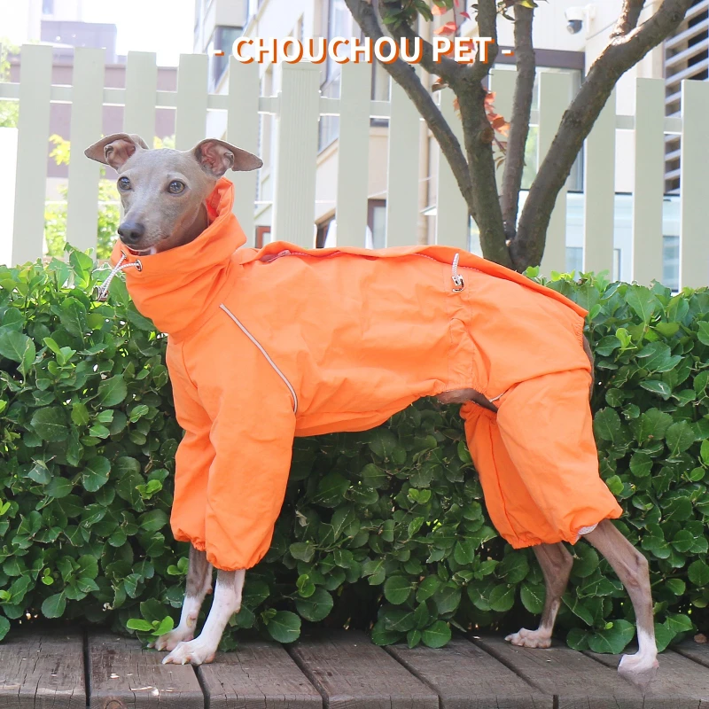 معطف واق من المطر للكلاب مقاوم للماء مع ياقة عالية قابلة للتعديل وسحاب للمشي في الهواء الطلق لكلاب بلينغتون والكلاب الصغيرة لاسا أبسو