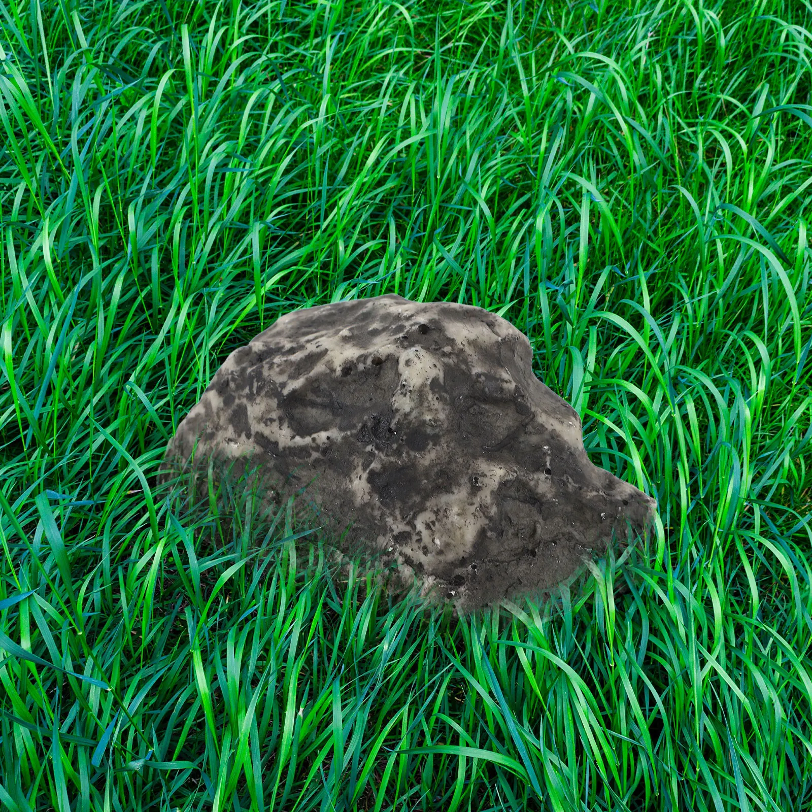 Stone Key Box Fake for Hidden Storing Keys Artificial Rocks Hide Spare Hider Put House Large