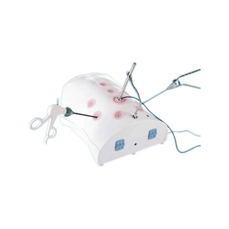 

Уникальное тренировочное устройство для моделирования человека, передаточное число 1:1, модель человека HD HD, эндоскопия, высококачественные продукты