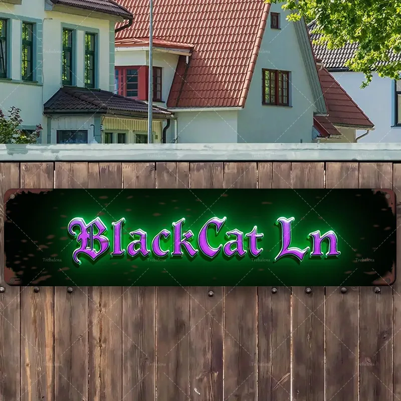 1Pc Metal Sign, 4X1… - image