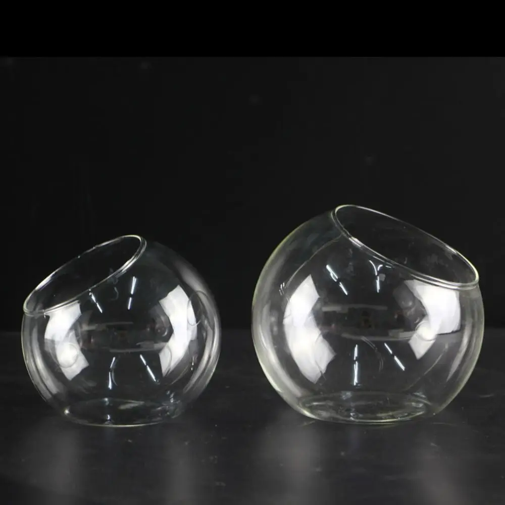 Oblique Clear Glass Ball Vase Clear Borosilicate Glass Borosilicate Glass Vase 8/10/12/16cm Transparent