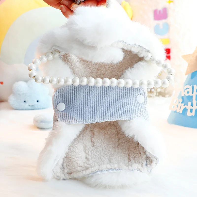 Dog Clothes  Winter Thick Cat Princess Coat Cotton-padded  Small Dog Teddy Pet Overalls  Puppy Clothes