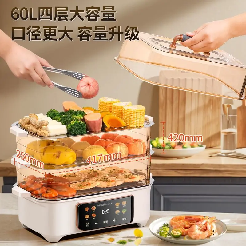 الاستخدام المنزلي 60 لتر باخرة كهربائية سعة كبيرة 2025: وعاء 7 لتر، وظائف مرئية وذكية