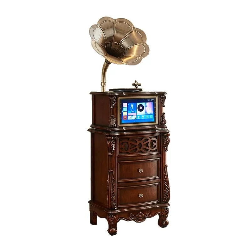

Karaoke Bluetooth audio vinyl record player multi-function retro audio