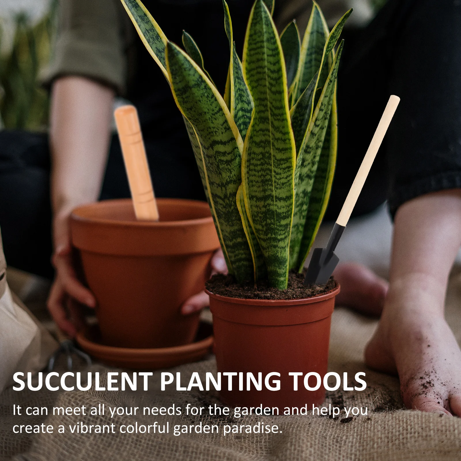 

1 Set Of Garden Tools Kit Mini Plant Shovel For Weeding Digging Transplanting Succulent Planting Supplies Gardening Accessories