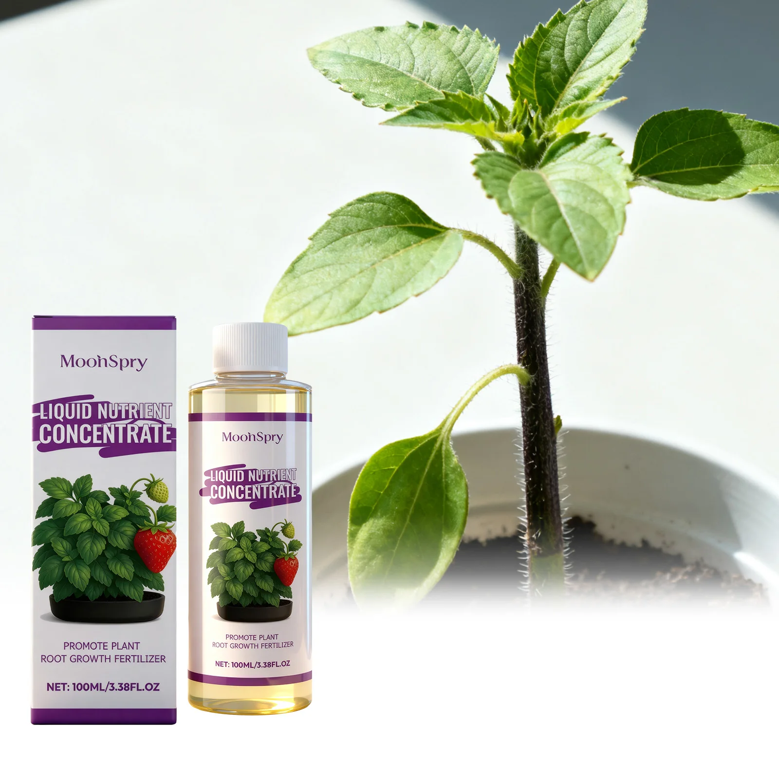 Moonspry 100Ml Pott…