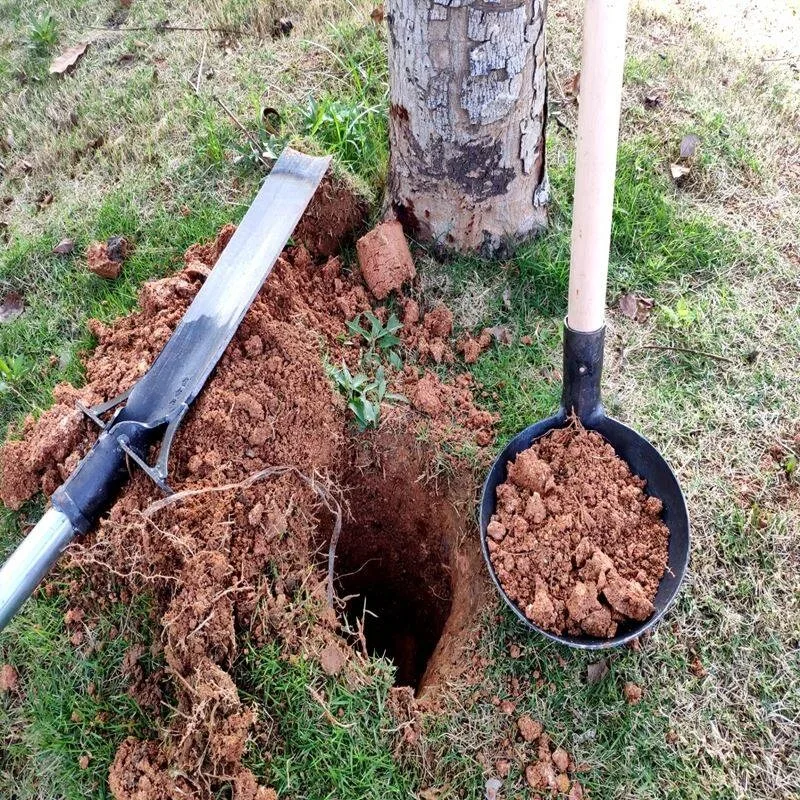 Dig holes, scoop holes, tree shovels, Luoyang shovel seedlings, dig holes, shovel spoons, soil, well spoons, silt spoons