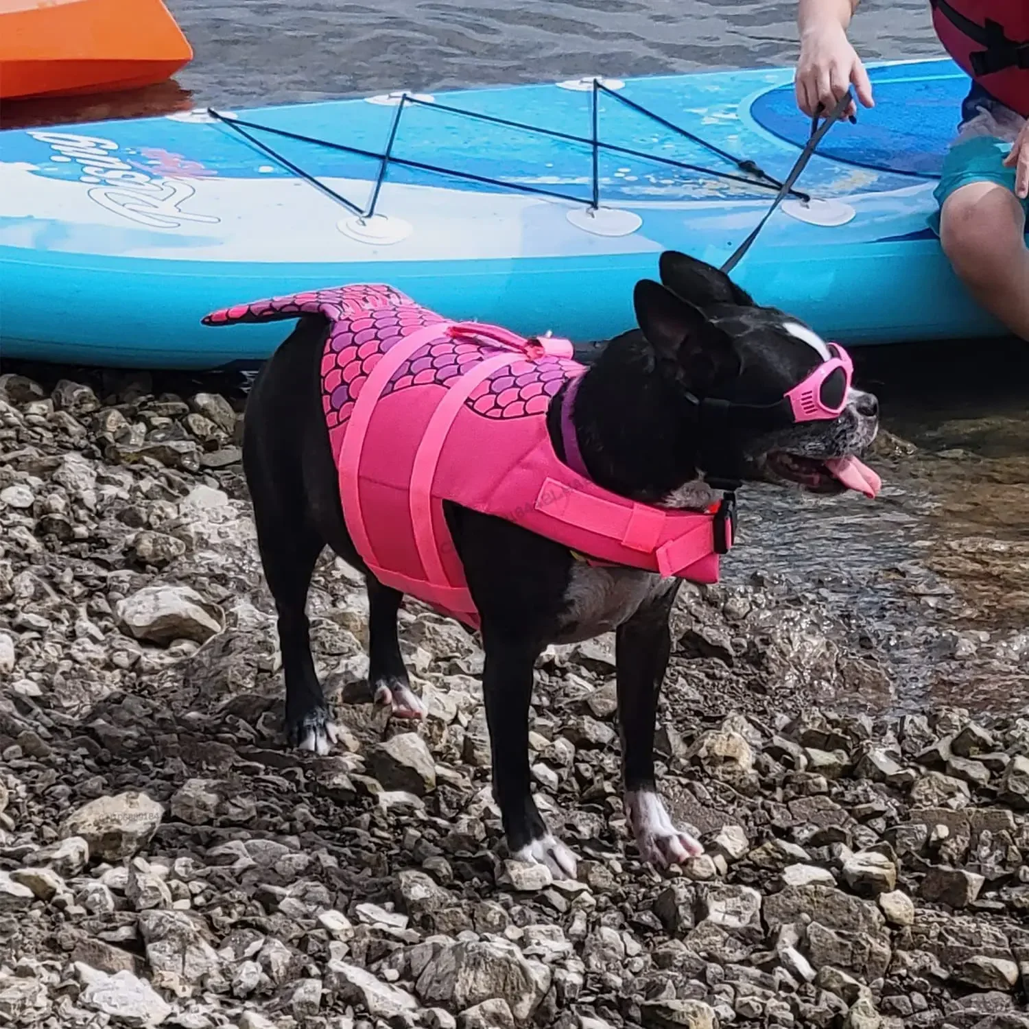 Summer Dog Life Jacket Lifesaver Swimwear Shark Vests with Rescue Handle Pet Dog Safety Swimsuit For Outdoor Pool Beach Boating