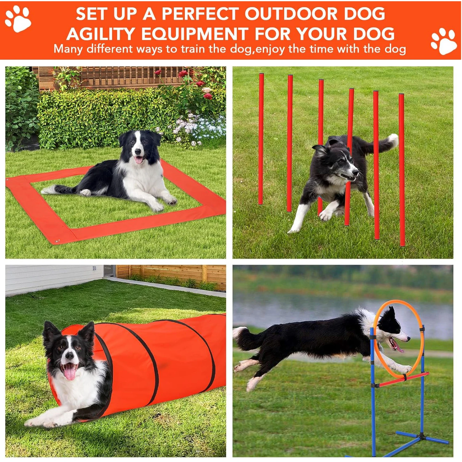 Dog Agility Kit 4