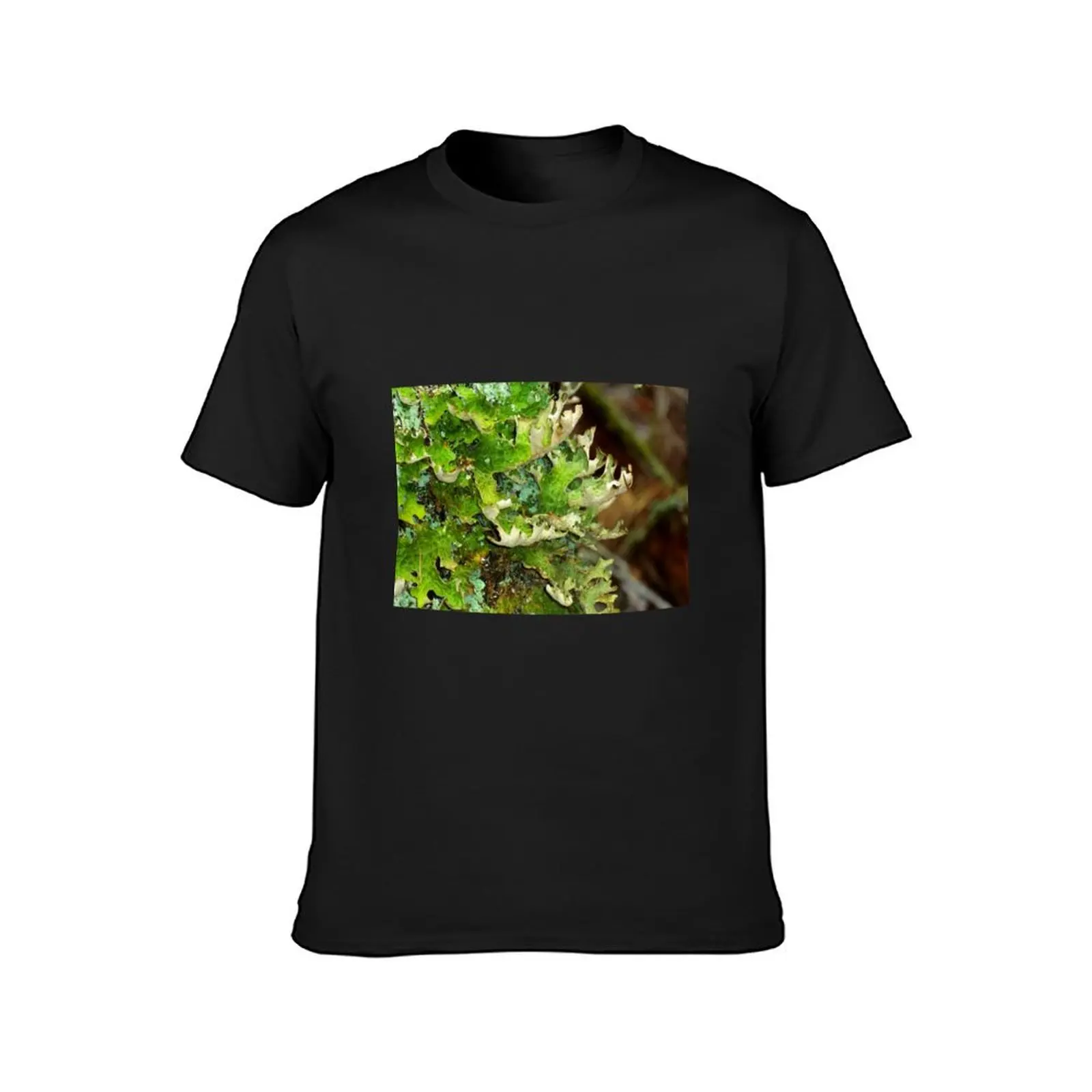 Lungwort (Lung) Lichen T-Shirt graphics Aesthetic clothing Men's t shirts