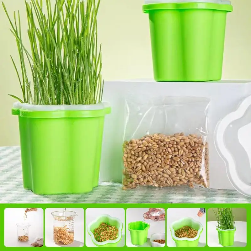 Cat Grass Seedling Planter Set Multi-functional Hydroponic Windowsill Planting Cup Reusable Plant Germination Growing Trays