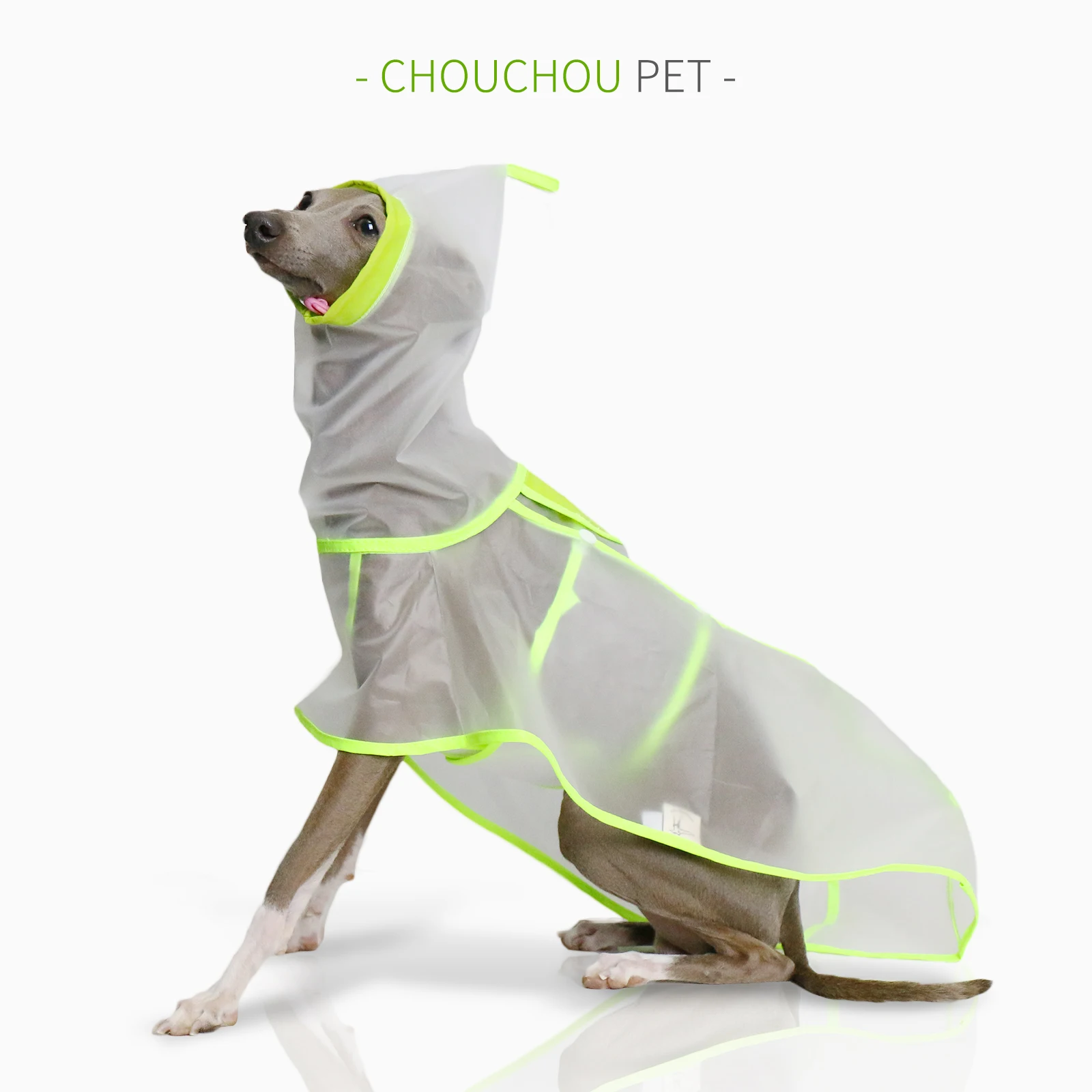 Italian Greyhound Whippet Raincoat Lightweight Iggy Colorful Waterproof, Rainproof, Windproof See-through Lightweight Raincoat
