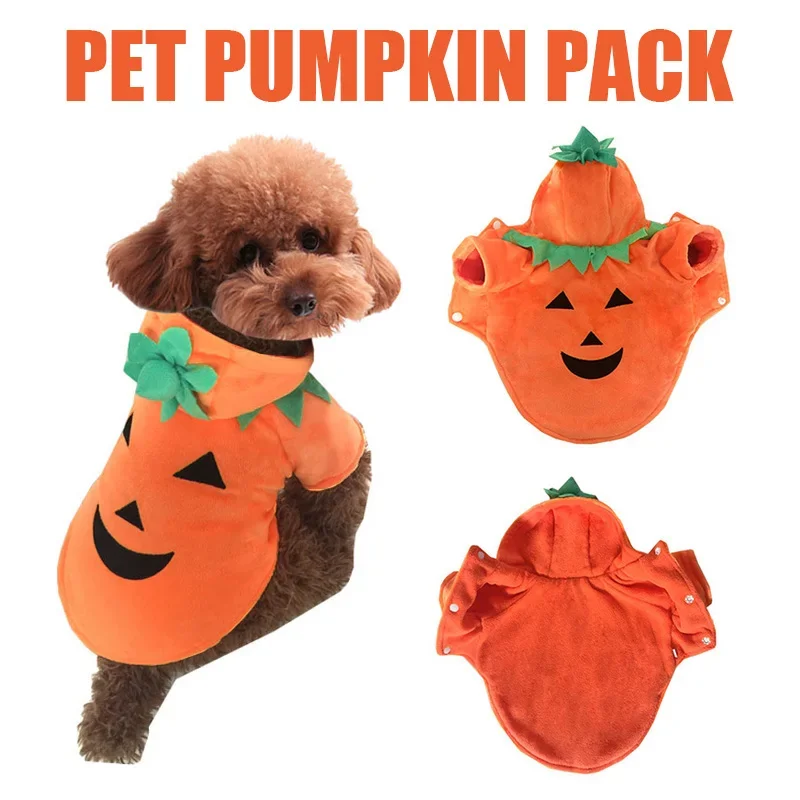 Haustier kleidung, Kürbis, lustige Kleidung, niedliche Halloween-Kleidung, Hunde kleidung