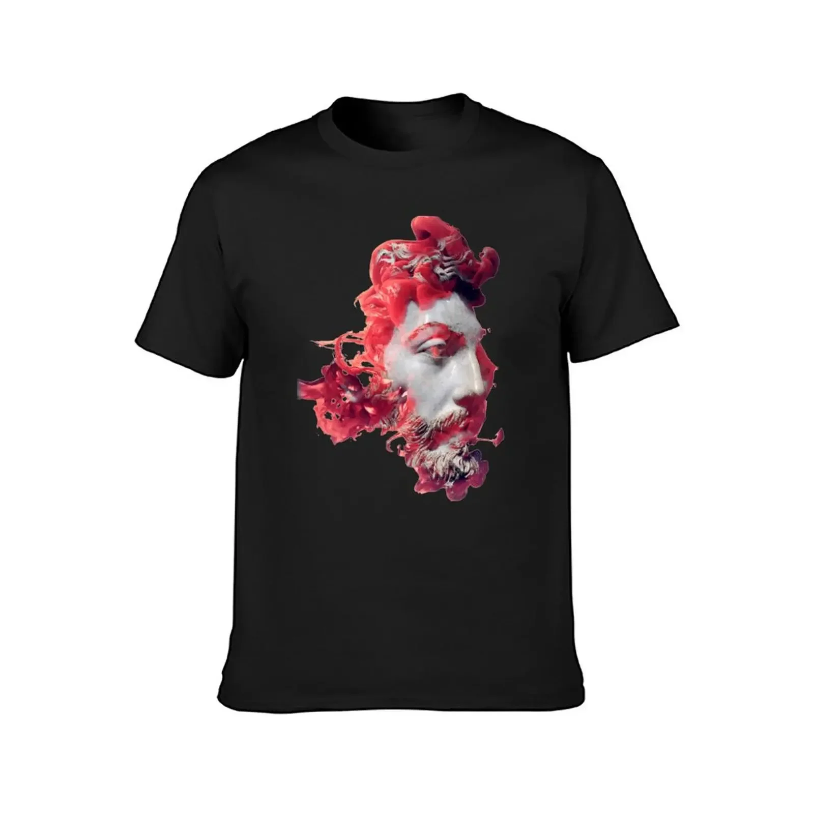 Marcus Aurelius Smoke T-Shirt oversized t shirt plus size tops plain shirts graphic tee men