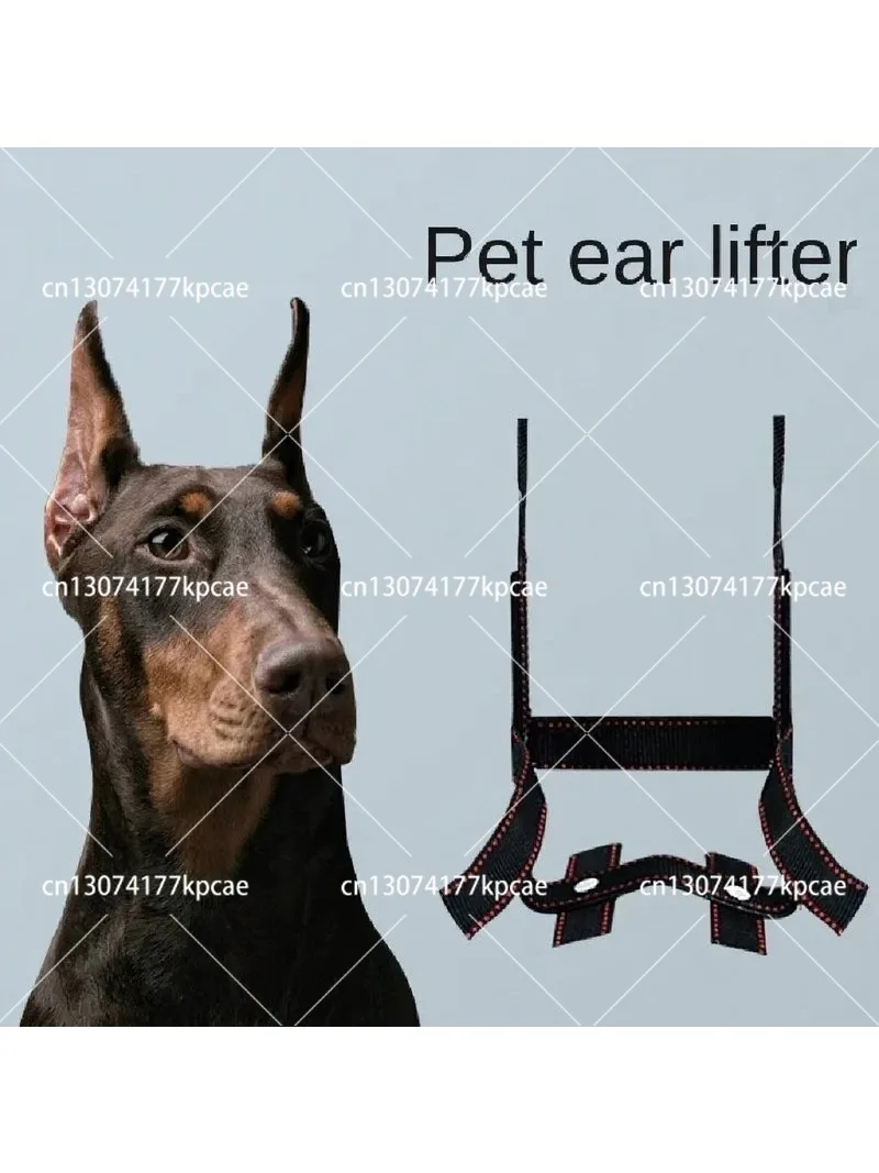 Dog Ear Stand Ear Correction Fixation Doberman Shepherd Vertical Dedicated Dogs Accessories Dog Ear Lifter