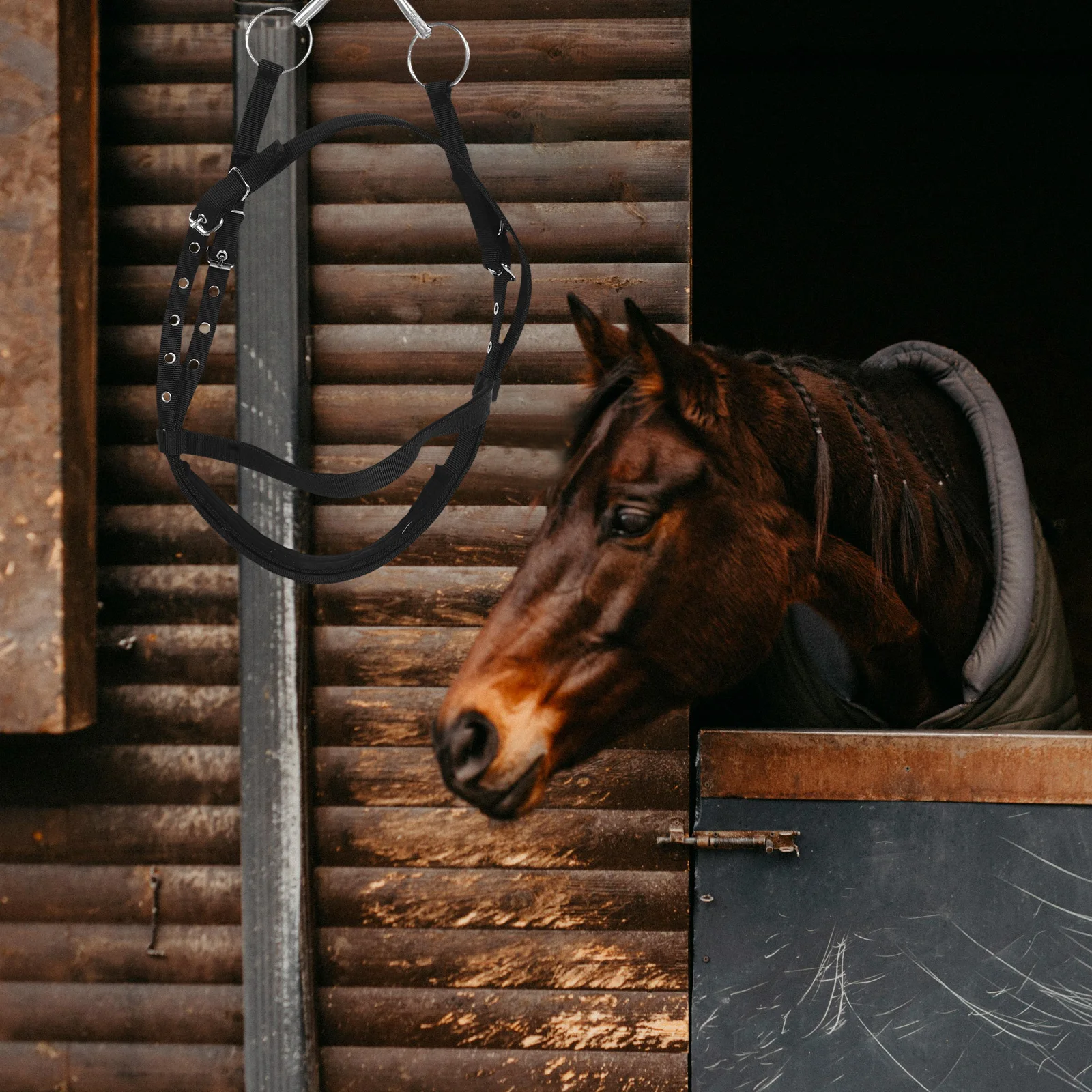 

Nylon Rope Halter Large Size Comfortable No-Chafe Design Ideal for Training Riding Bitless Bridle Horse Tack Western