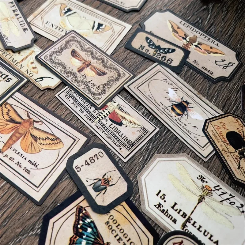 Retro Insect Specimen Label English Sticker butterfly Diary Vintage Decoration Junk Journal material
