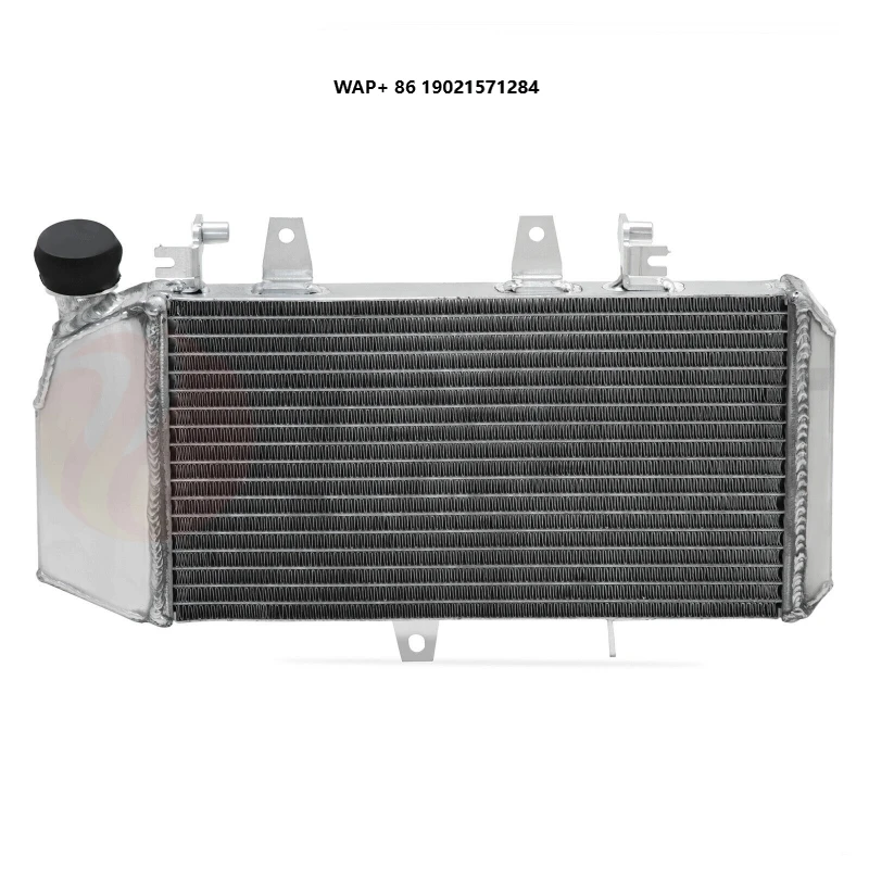 

Motorcycle Water Tank Assembly Accessories Water-Cooled Radiator for F800GS F800GT 2007-2018