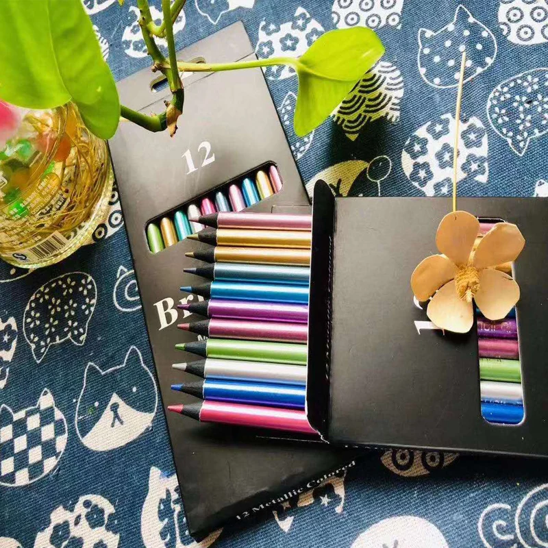 12 matite colorate metallizzate colorate disegno Set di schizzi matite colorate colorate forniture artistiche professionali per artisti