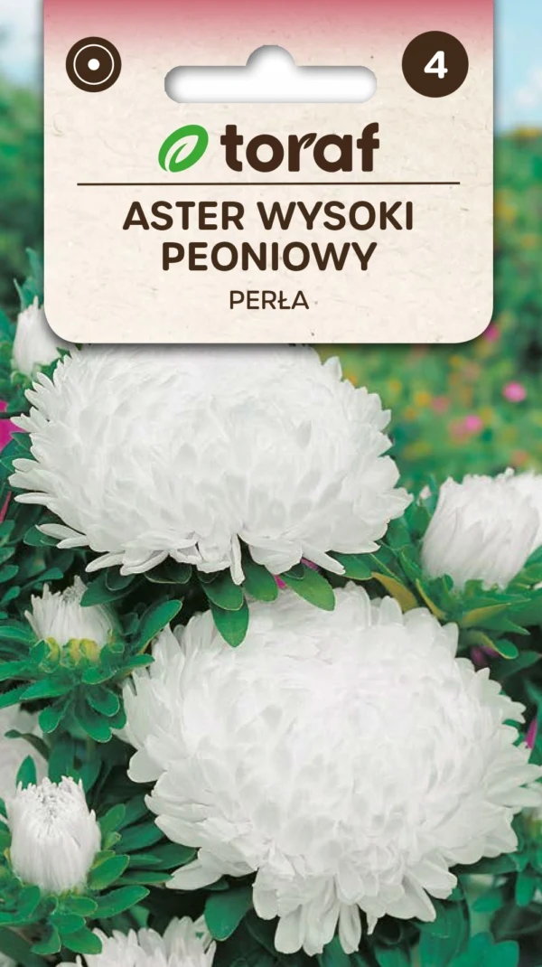 Aster High Peonium PEERL Bloemzaden 447 Toraf