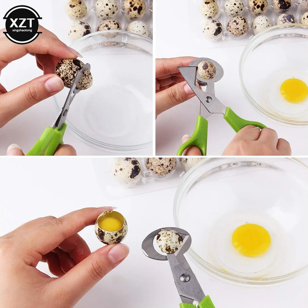 Tijeras para cortar huevos de codorniz y palomas, herramienta de cocina, separador de huevos de aves, accesorios portátiles