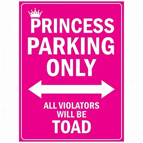 Fsdva Princess Parking Only Sicherheitsschild Blechschild