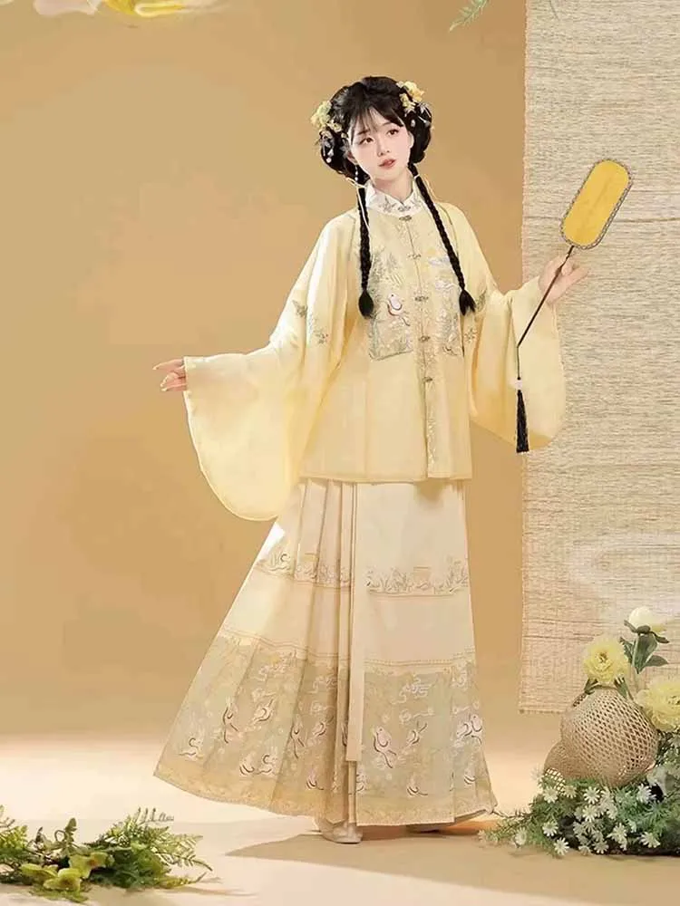 مقاس كبير 10XL فستان هانفو صيني للنساء تأثيري سلالة مينغ القديمة تنورة مطرزة على وجه الحصان هانفو زي نسائي