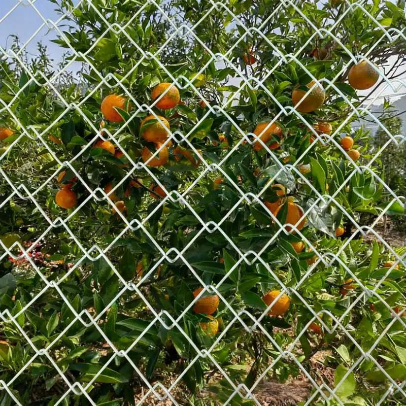 Custom.Hot بيع سعر المصنع مباشرة دعم مزرعة سياج سلسلة مجلفنة مخصصة ، ملعب ، ساحة ، إلخ #5