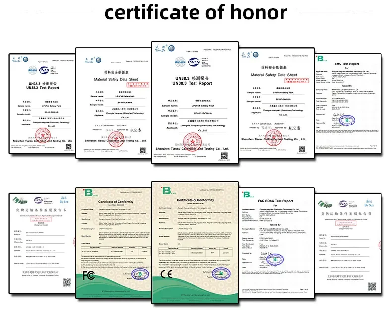 Bloopower Home Energy Storage System Lifepo4 Battery Packs 10kwh Rack Mount Lithium Batteries Solar Generator Backup Battery