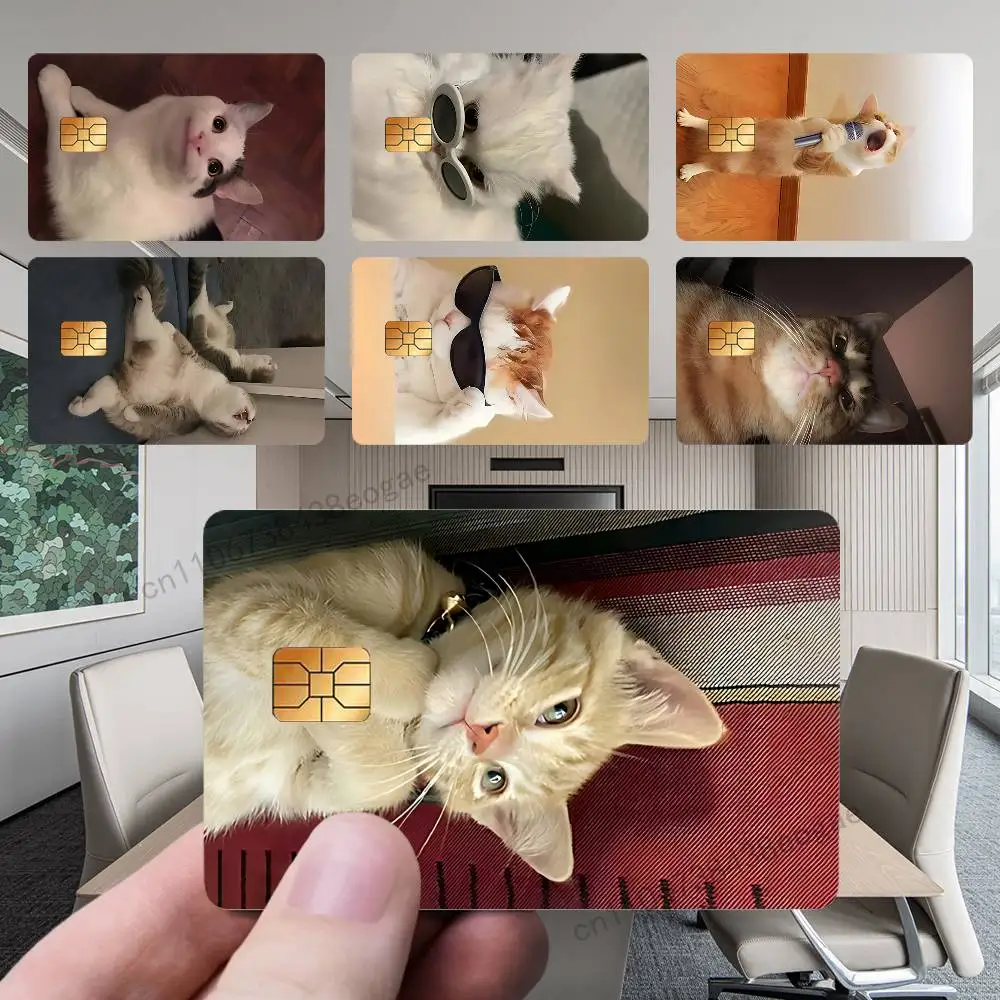 

Funny Cute Memes Cat PVC Sticker Film Tape Skin for Credit Debit Card For Credit Debit Card Small Large Chip