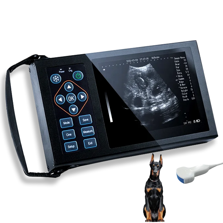 Animals Portable Veterinary Ultrasound Scanner Machine Veterinary Monitoring Devices for Dog and Pig