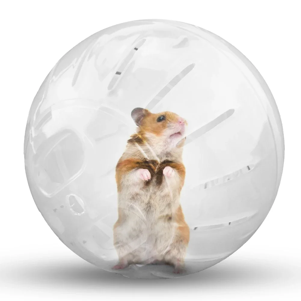 10/12cm Hamster Sport Ball Outdoor Sport Ball Grounder Rat Small Pet Rodent Mice Ball Balls Rat Hamster Gerbil Rat Exercise Toy