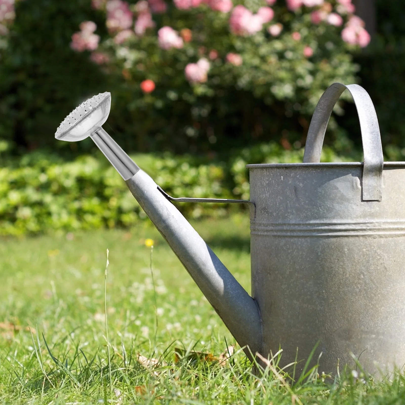

Stainless Steel Watering Can Nozzle Replacement Easy Control Fine Spray for Indoor Outdoor Garden Plant Watering Hose Accessory