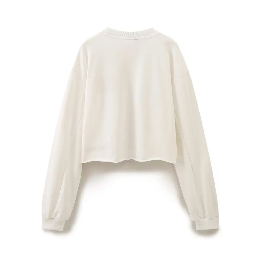 Tangada 2024 Women Embroidery Sweatshirts Oversize Long Sleeve O Neck Loose Pullovers 6H0249