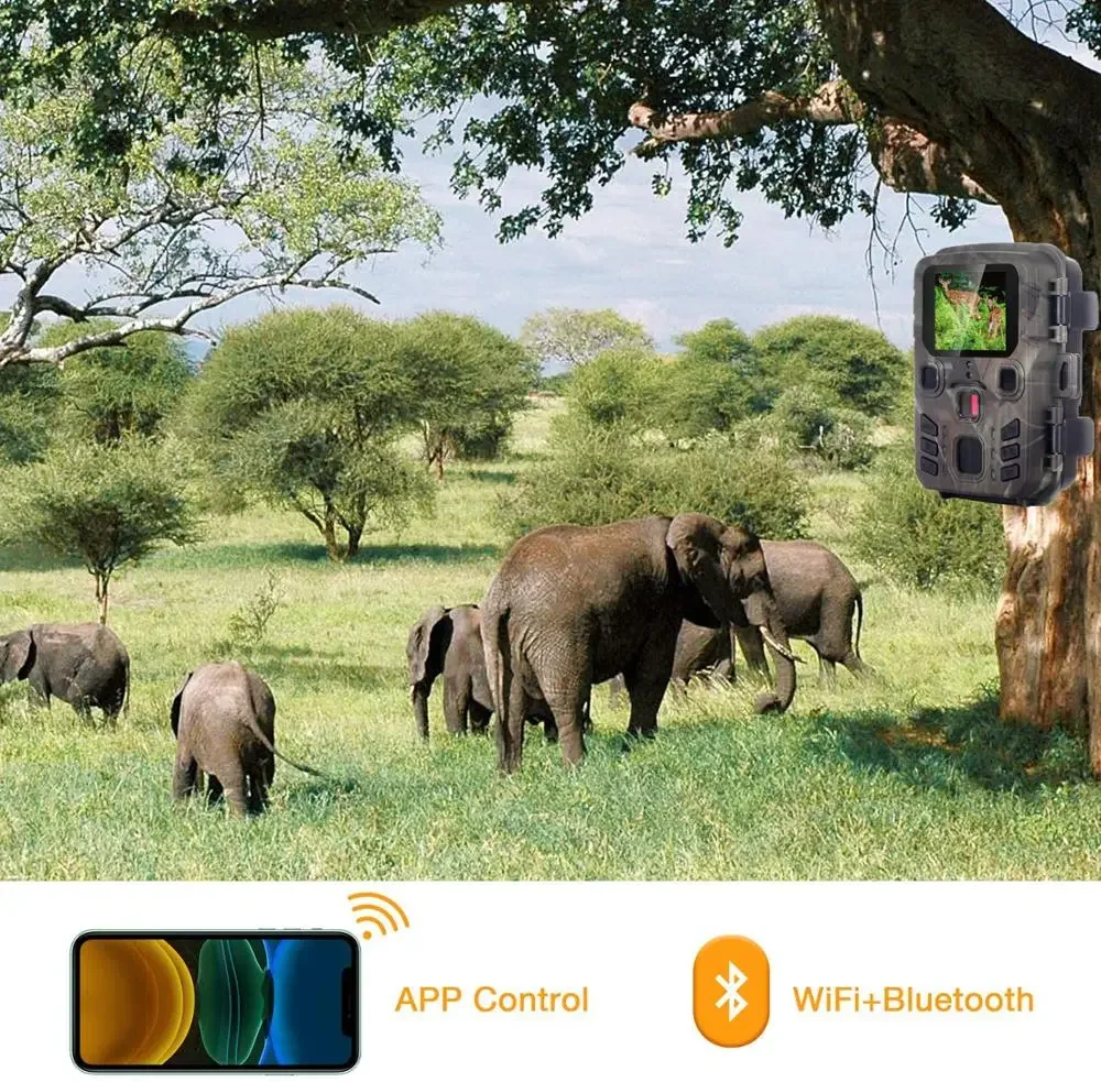 Cámara de caza con visión nocturna y WiFi – Control vía app - imagen 2