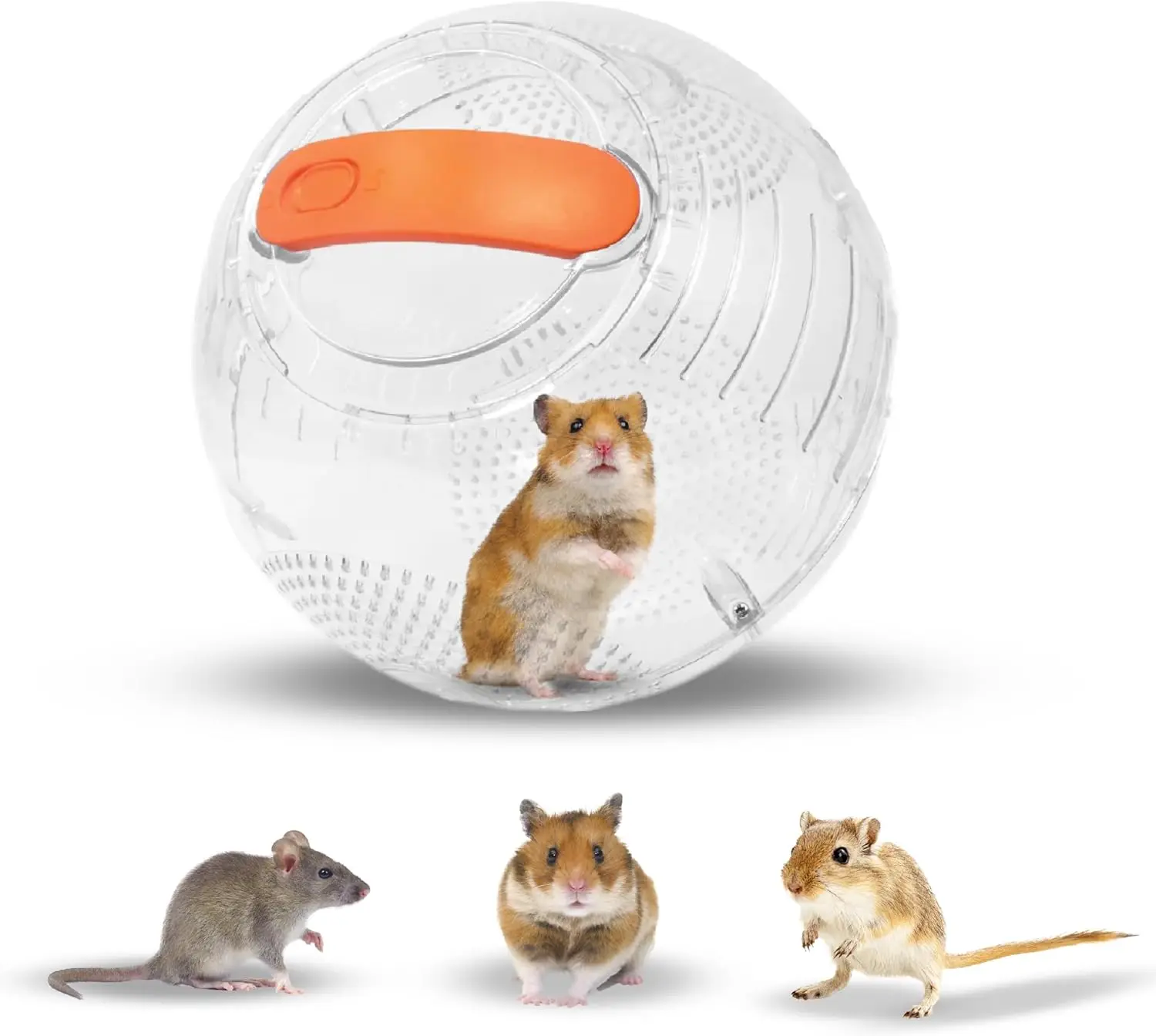 Hamster Ball - Unique Dwarf & Small Animal Exercise Ball - Safe, Breathable Pet Care