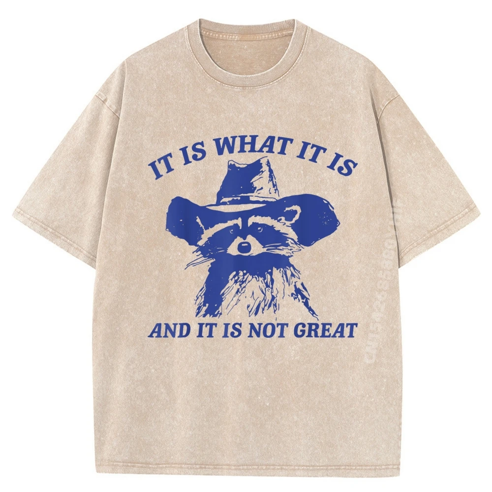 

Funny Raccoon Retro It Is What It Is And It Is Not Great Men Clothes Man Clothes Large Size Oversized Washed Shirt