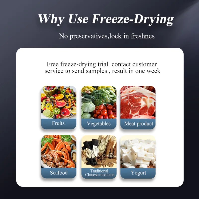 Household Commercial Small Mini Vacuum Food Fruit Vegetable Freeze Dryer