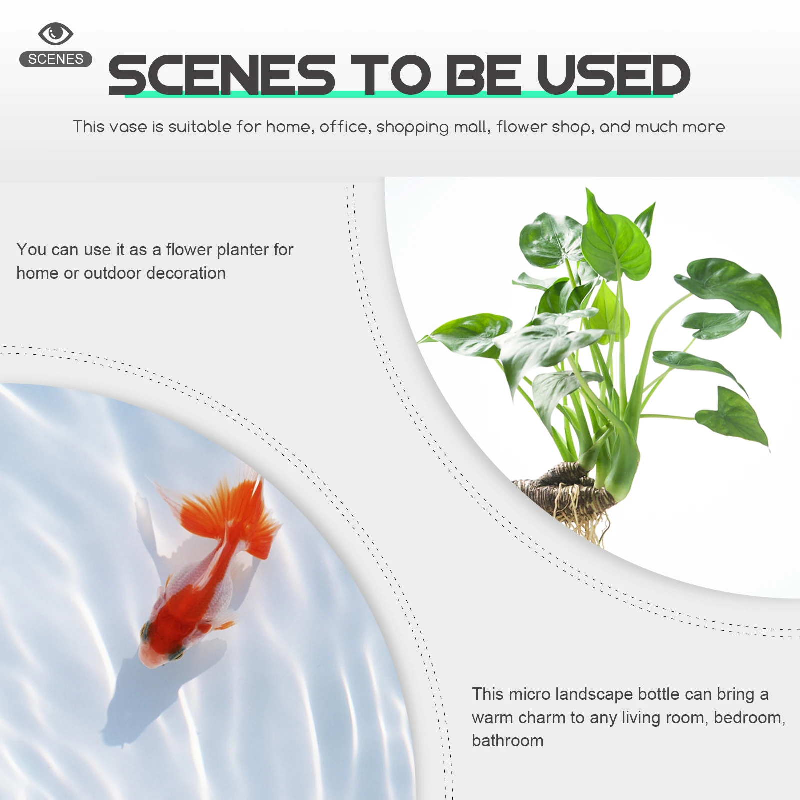 

Glass Flower Vase Wooden Base Hydroponic Micro Landscape Bottle Decorative Plant Storage Pot for Home Office Hotel