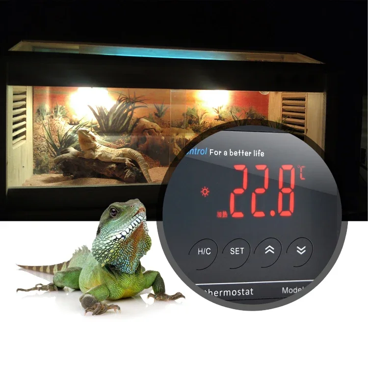 Electronic Thermostat Digital Temperature Controller -40~212 F / -40~100 C Switchable with Alarm for Reptile, Aquarium, Pet