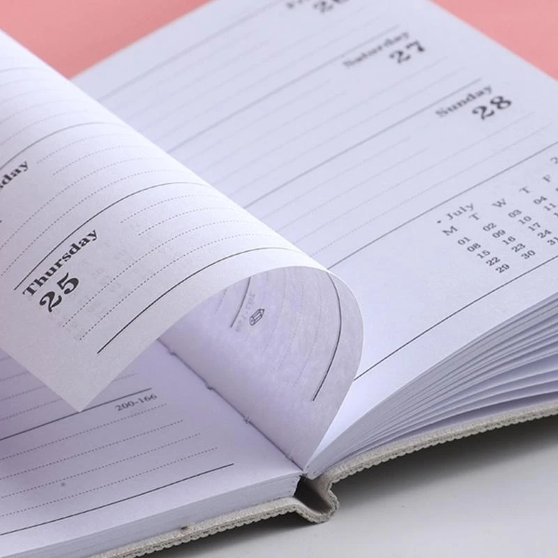 D0UA 2025 Agenda Buch Monthly Planer Schedule Notebook Weekly & Daily Planer